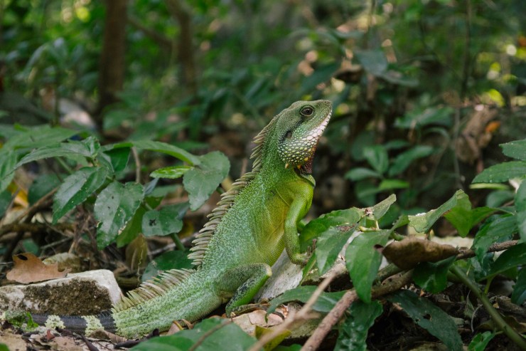 rachel-walker-portrait-photography-travel-asia-vietnam-079