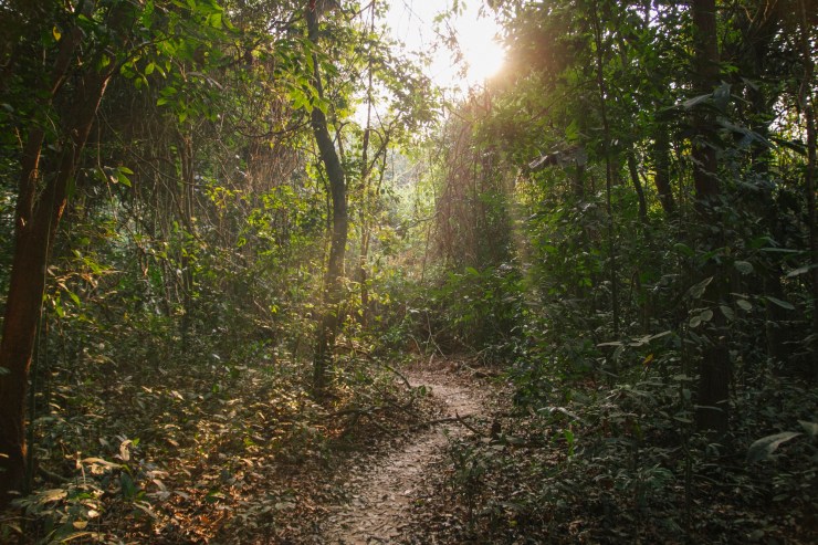 Portrait Photography; Wedding Photographer; New Zealand; Rachel Walker