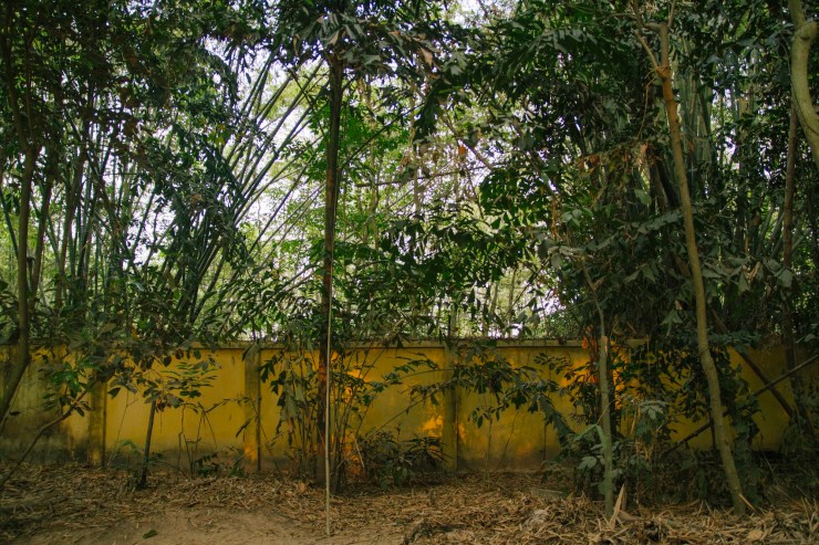 Portrait Photography; Wedding Photographer; New Zealand; Rachel Walker