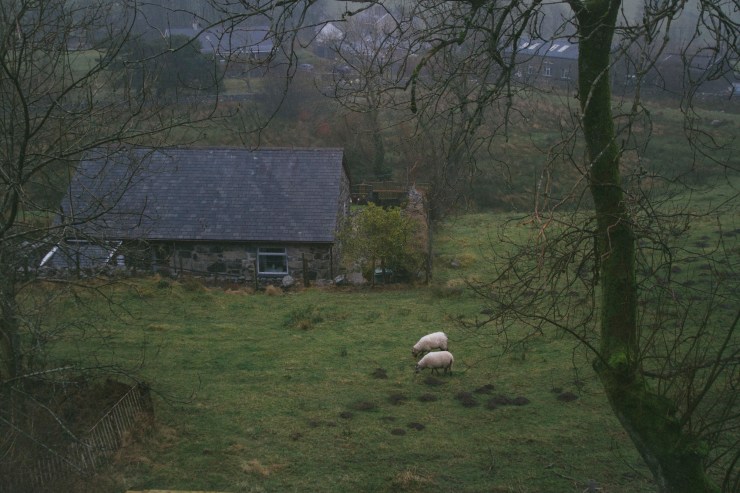 Portrait Photography; Wedding Photographer; New Zealand; Rachel Walker