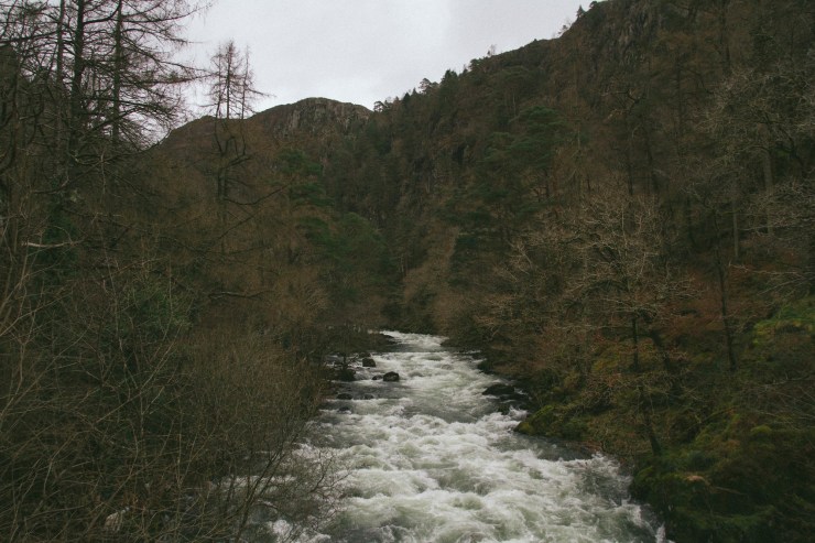 Portrait Photography; Wedding Photographer; New Zealand; Rachel Walker