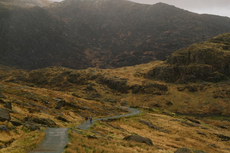 Portrait Photography; Wedding Photographer; New Zealand; Rachel Walker