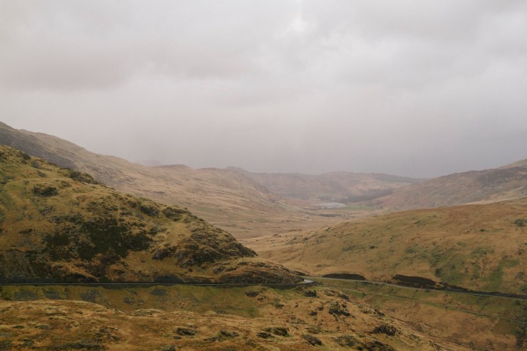 Portrait Photography; Wedding Photographer; New Zealand; Rachel Walker