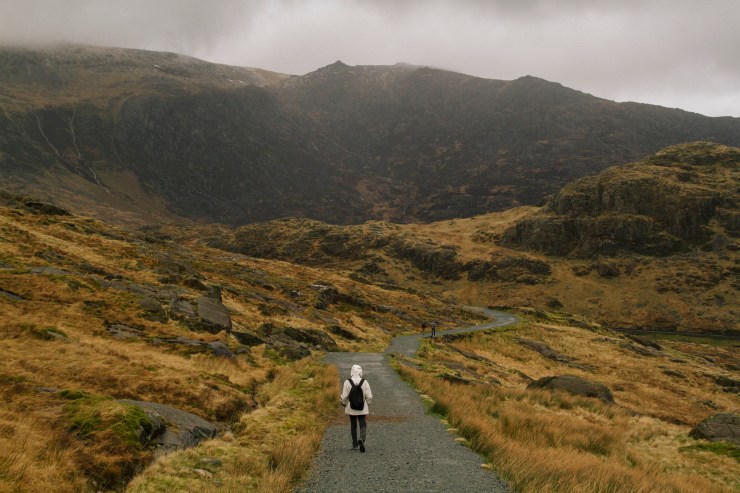 Portrait Photography; Wedding Photographer; New Zealand; Rachel Walker