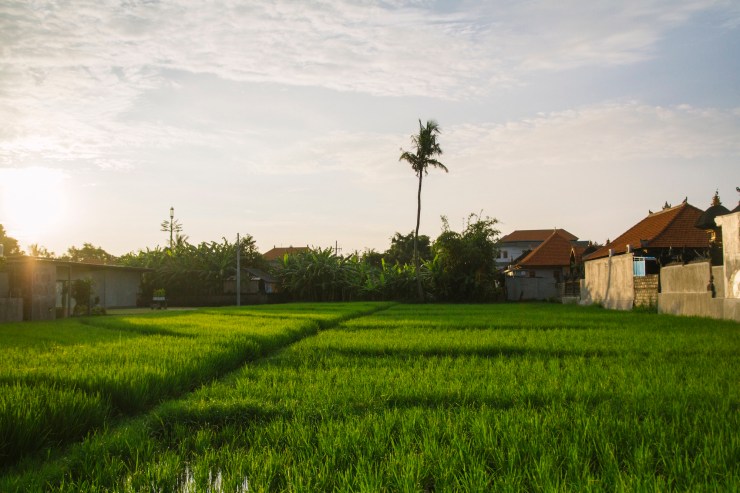 rachel-walker-portrait-photography-travel-london-bali-02