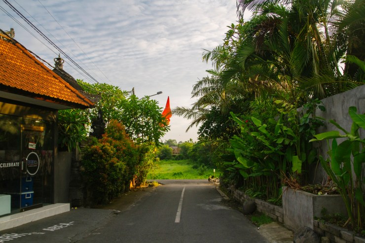 rachel-walker-portrait-photography-travel-london-bali-03