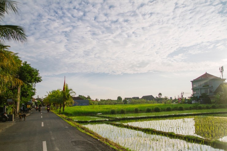 rachel-walker-portrait-photography-travel-london-bali-05
