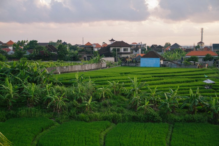 rachel-walker-portrait-photography-travel-london-bali-15
