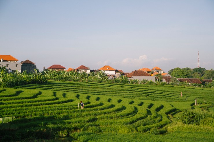rachel-walker-portrait-photography-travel-london-bali-18