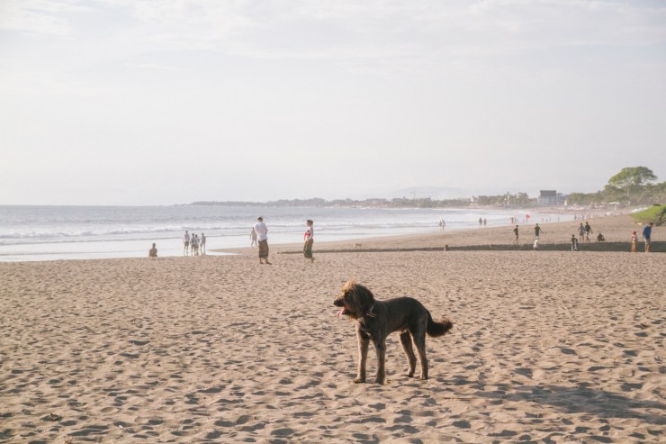 rachel-walker-portrait-photography-travel-london-bali-22