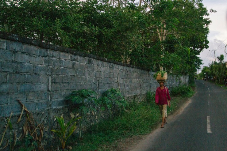 Portrait Photography; Wedding Photographer; New Zealand; Rachel Walker