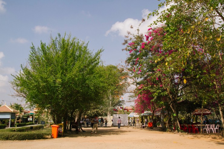 Portrait Photography; Wedding Photographer; New Zealand; Rachel Walker