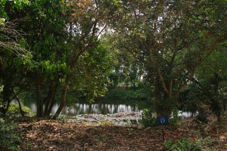 Portrait Photography; Wedding Photographer; New Zealand; Rachel Walker