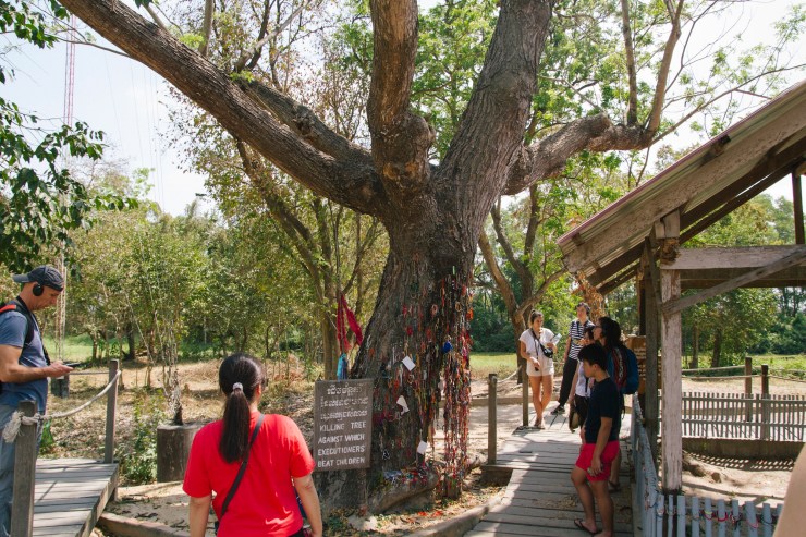 Portrait Photography; Wedding Photographer; New Zealand; Rachel Walker