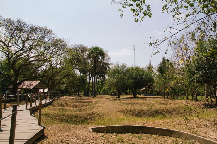 Portrait Photography; Wedding Photographer; New Zealand; Rachel Walker