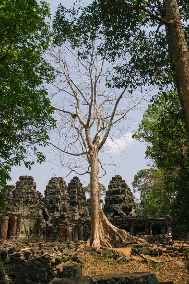 Portrait Photography; Wedding Photographer; New Zealand; Rachel Walker