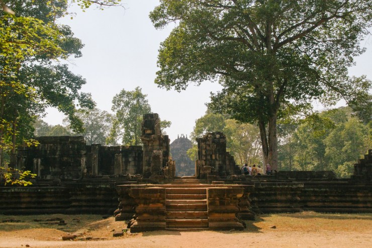 Portrait Photography; Wedding Photographer; New Zealand; Rachel Walker