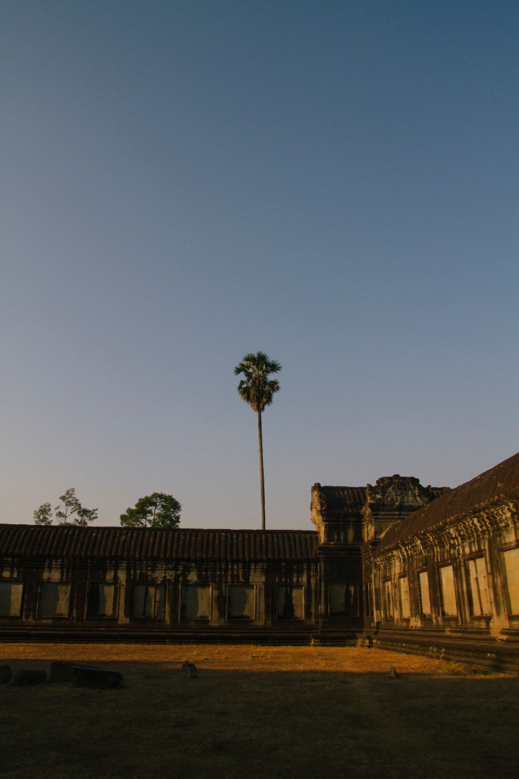 Portrait Photography; Wedding Photographer; New Zealand; Rachel Walker