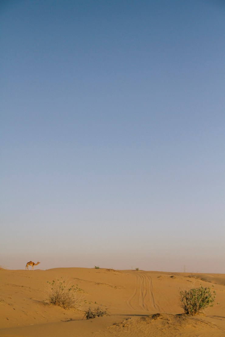 rachel-walker-portrait-photography-travel-london-dubai-27