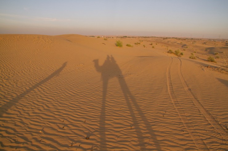 rachel-walker-portrait-photography-travel-london-dubai-29