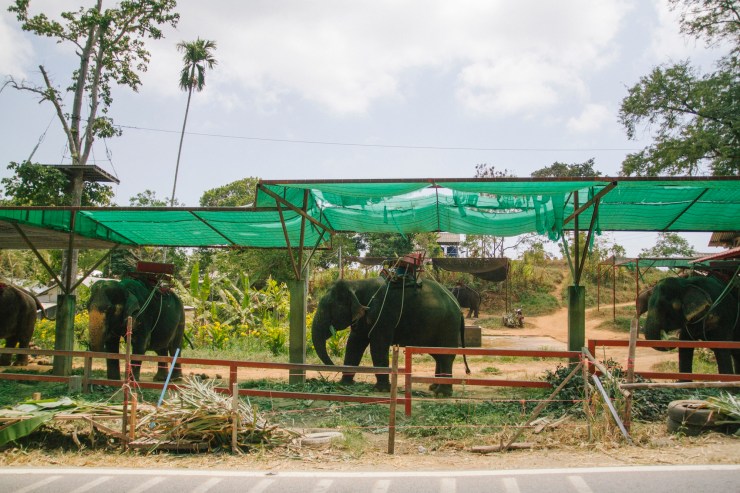 rachel-walker-portrait-photography-travel-london-thailand-15
