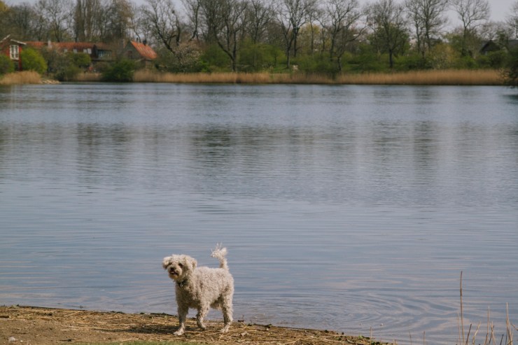 rachel-walker-portrait-photography-travel-london-copenhagen-denmark-02