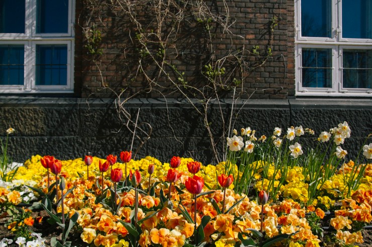 rachel-walker-portrait-photography-travel-london-copenhagen-denmark-10