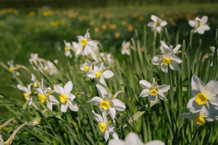 rachel-walker-portrait-photography-travel-london-copenhagen-denmark-40