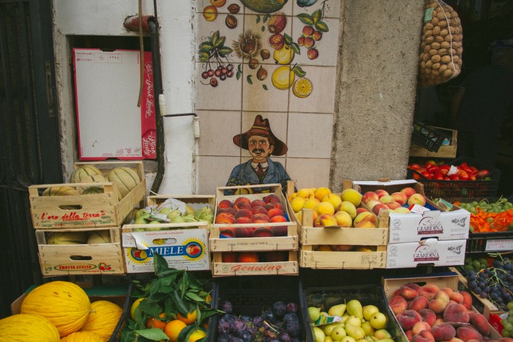 Portrait Photography; Wedding Photographer; New Zealand; Rachel Walker