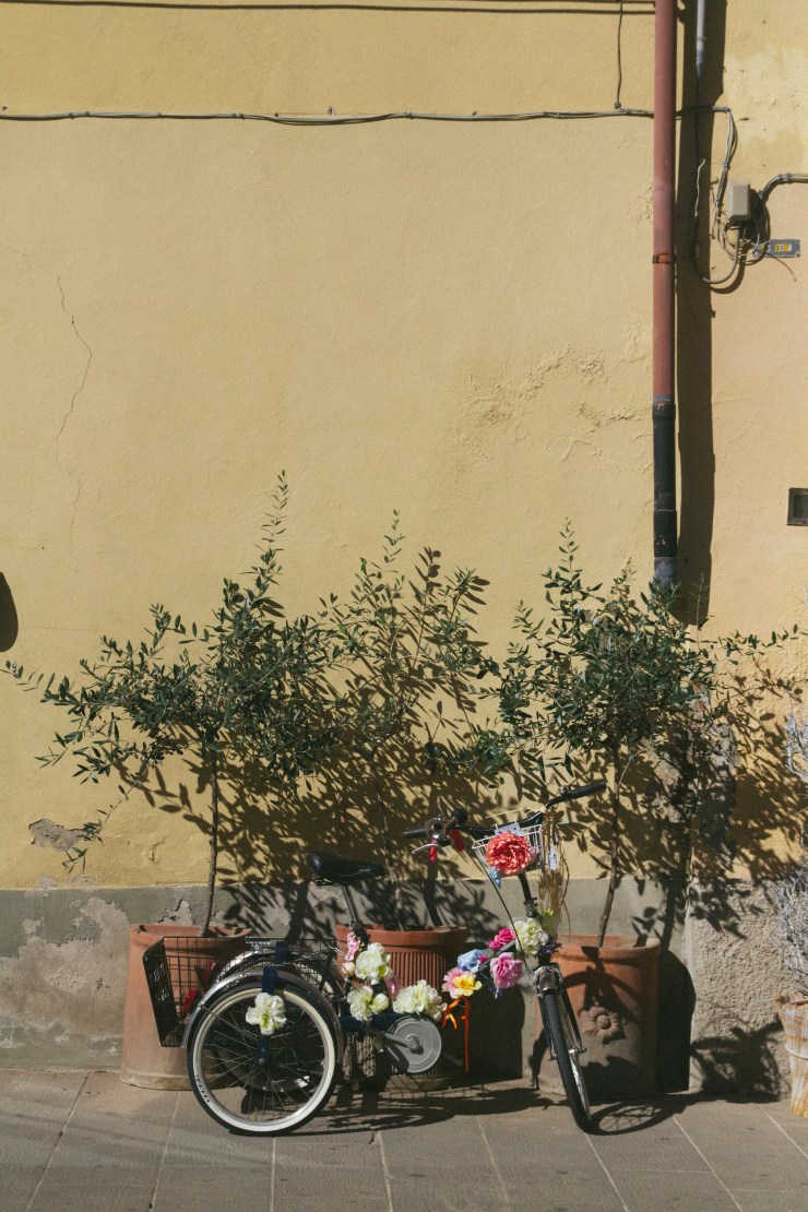 Portrait Photography; Wedding Photographer; New Zealand; Rachel Walker