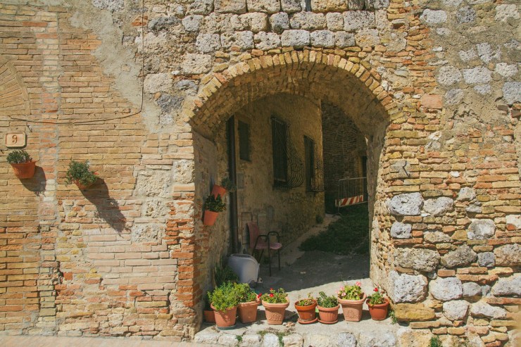 Portrait Photography; Wedding Photographer; New Zealand; Rachel Walker