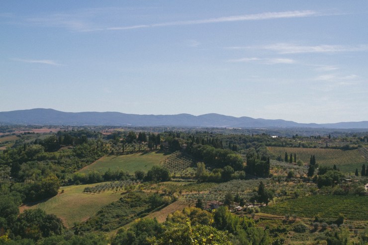 Portrait Photography; Wedding Photographer; New Zealand; Rachel Walker