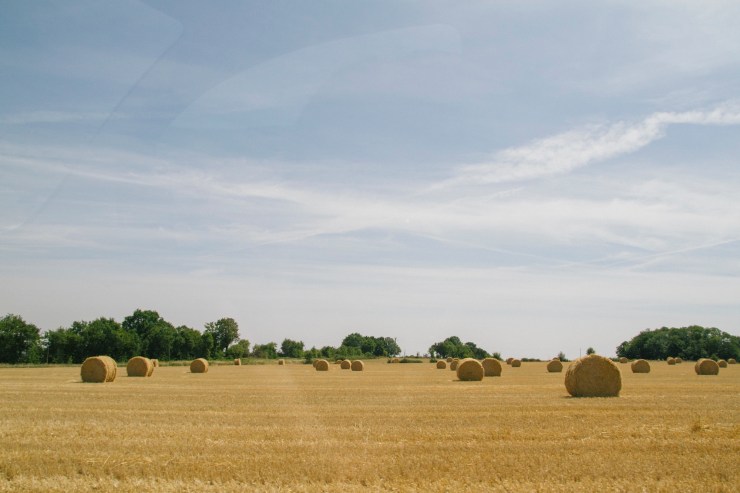 Portrait Photography; Wedding Photographer; New Zealand; Rachel Walker