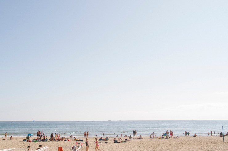 Portrait Photography; Wedding Photographer; New Zealand; Rachel Walker