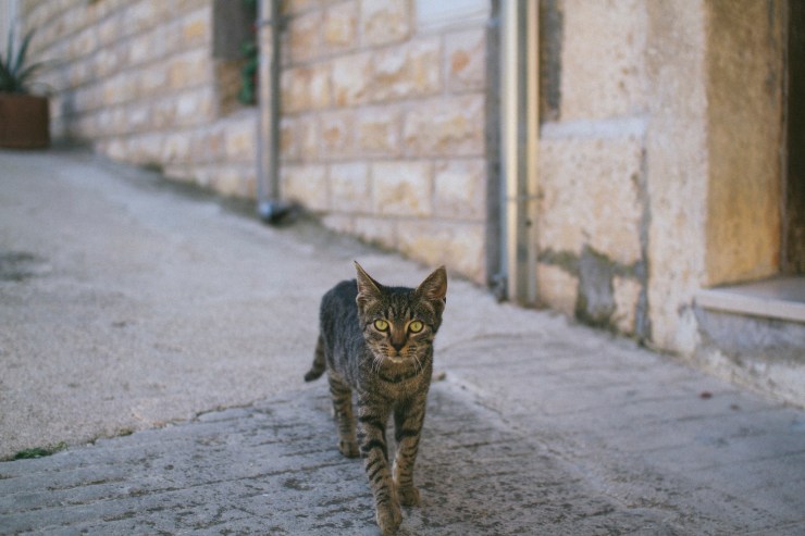 rachel-walker-portrait-photography-travel-london-split-croatia-24