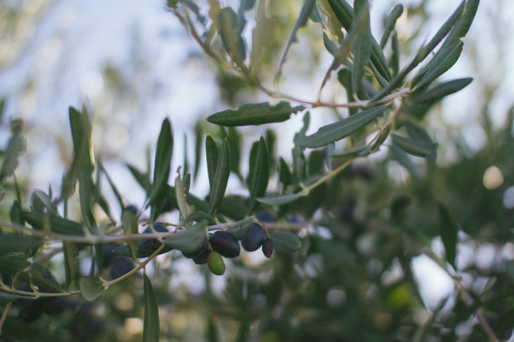 rachel-walker-portrait-photography-travel-london-split-croatia-25