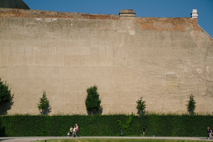 Portrait Photography; Wedding Photographer; New Zealand; Rachel Walker