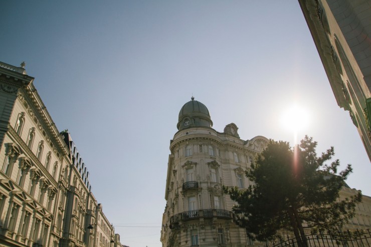Portrait Photography; Wedding Photographer; New Zealand; Rachel Walker