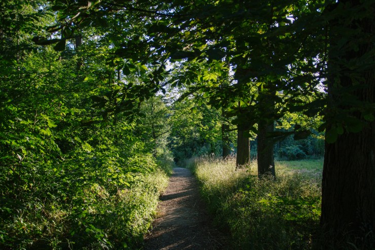 Portrait Photography; Wedding Photographer; New Zealand; Rachel Walker