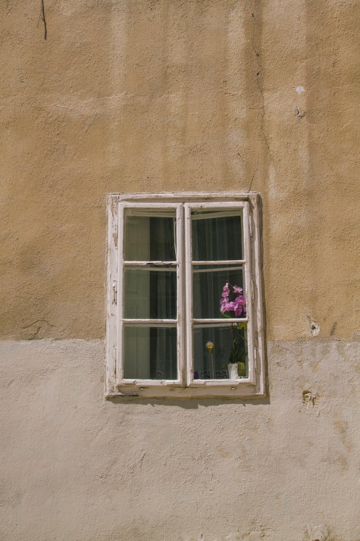 Portrait Photography; Wedding Photographer; New Zealand; Rachel Walker